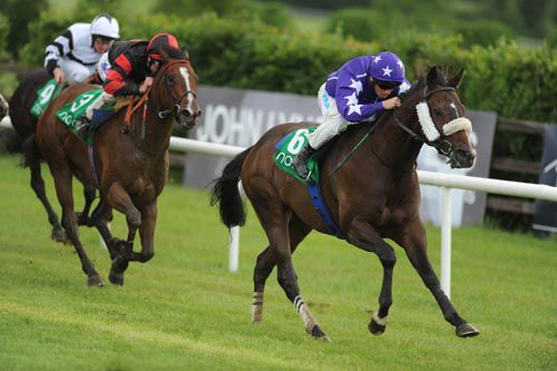 Statue Of Dreams and Chris Hayes head for home at Navan