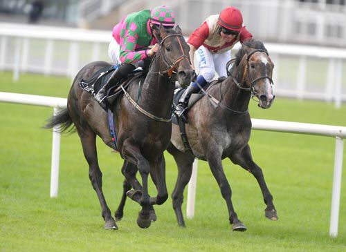 Battleroftheboyne is pushed to the front by Joseph O'Brien from Faleena on the rails in second