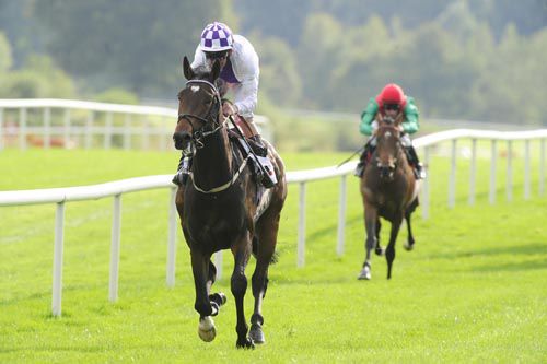 Trading Leather hacks up at Gowran Park