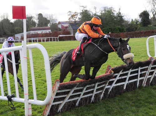 Money Spider gets in too close to the last but still won easily under Sean McDermott at Punchestown
