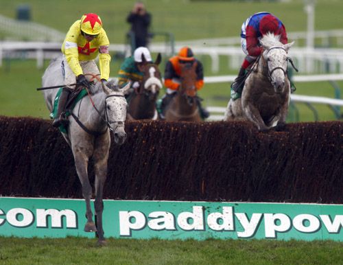 Al Ferof and Ruby Walsh seen here at Cheltenham