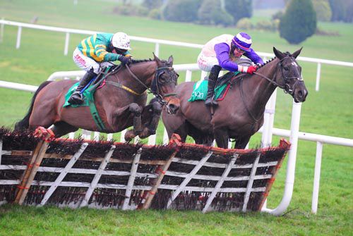 Blissful Moment (nearside) comes through at the last to 'do' Mr Cosmopolitan at Navan