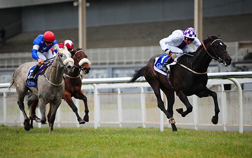 Alpinist stays on well to beat off Silver Lightening and Lake District at the Curragh