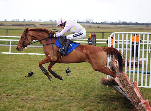 Annie Power pops the last at Fairyhouse