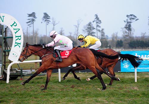 Indevan (nearside) beat It's High Time at Gowran