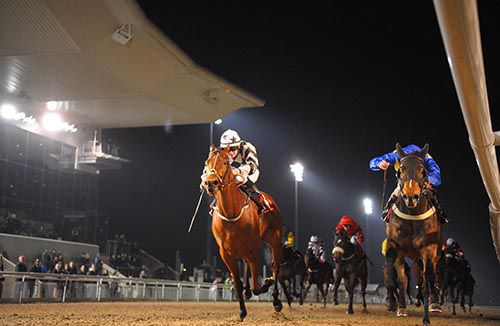 Phebes Wish (left) 'does' Pre Tax Profit near the line in the last at Dundalk