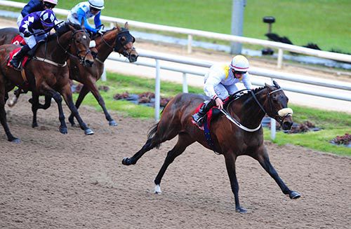 Eastern Rules strides clear at Dundalk