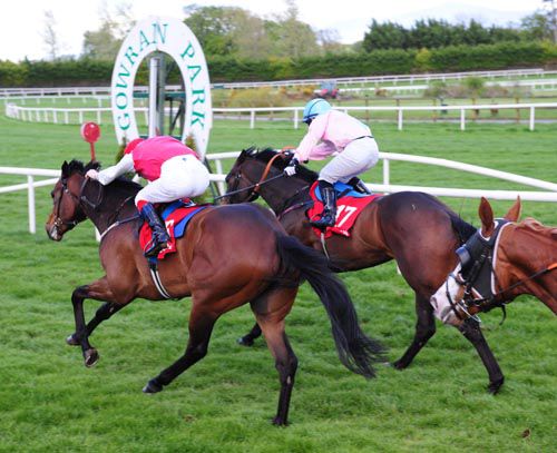 Paynes Find (nearside) got up to beat Blistering Dancer at Gowran