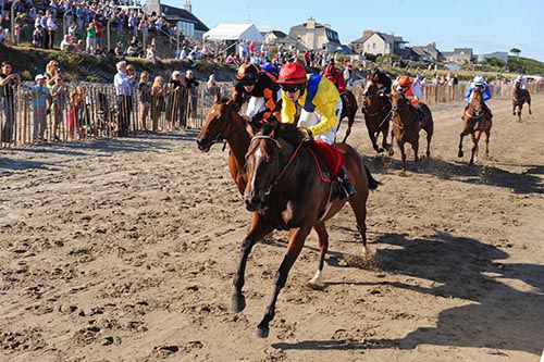 Enigma Code leads them home in the 1st at Laytown