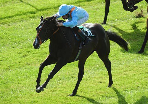 Toormore storms clear under Richard Hughes