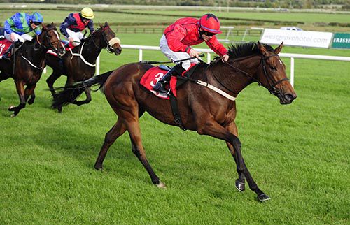 Wannabe Better and Wayne Lordan head for home in Naas