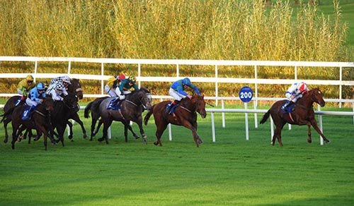 Gunner Lindley has his rivals on the stretch at Leopardstown