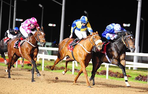 Street Party (right, Joseph O'Brien) holds on from Settle For Red and Stynes at Dundalk