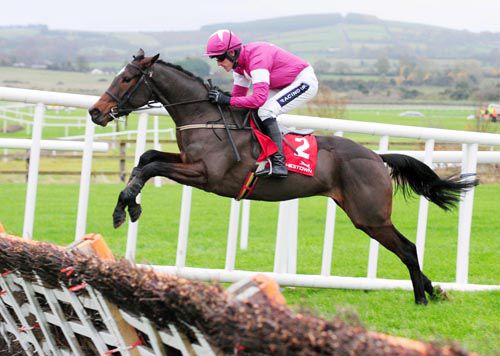 A beautiful shot of Analifet and Ruby Walsh in full flow