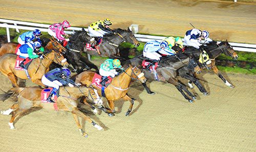 Mossman Park (far-side) came out best in this blanket finish brilliantly captured by Healy Racing