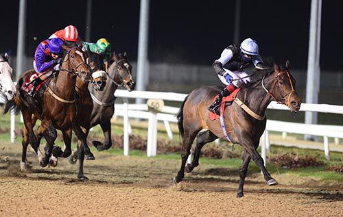 Waving is driven out to take the last under Joseph O'Brien at Dundalk