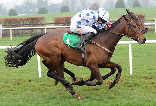 Baby King (Davy Russell, nearside) just outdone Emperor Of Exmoor and Mark Enright at Navan