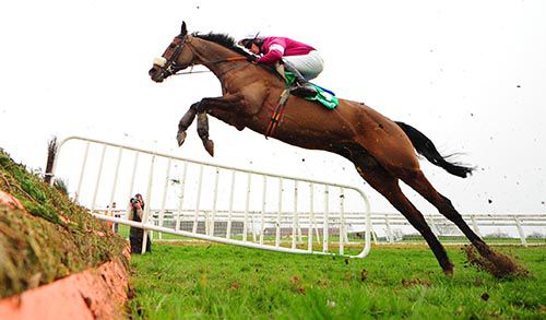 Bog Warrior and Paul Carberry take a good cut at one on the way to victory at Navan