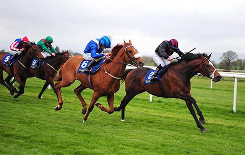 Boqa (Wayne Lordan) were not to be denied as Maskoon delivered a strong challenge