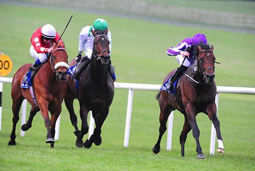 Guerre is driven out by Joseph O'Brien to beat Maarek (noseband) and Nocturnal Affair (green cap)