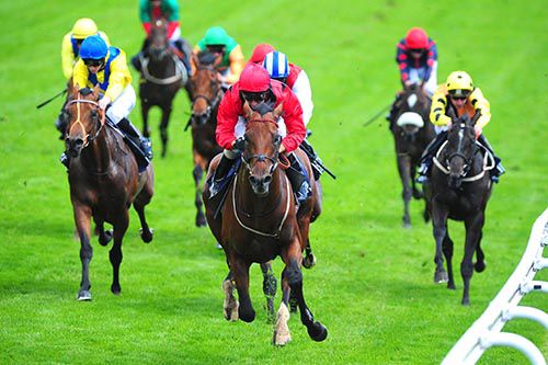 What About Carlo seen here winning at Epsom