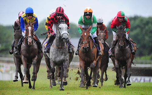 Myles Ahead (yellow and blue) on his way to victory under Steven Clements in the Wexford bumper