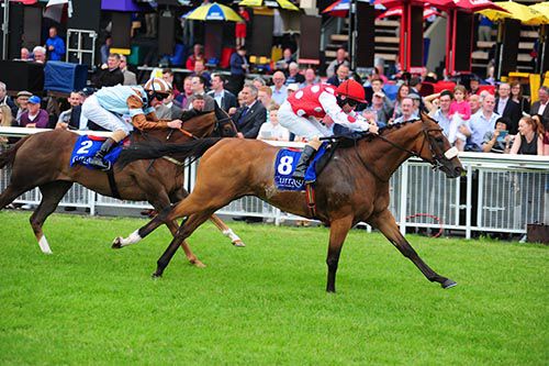 Sir Maximilian pictured on his way to victory in the Rockingham at the Curragh last month