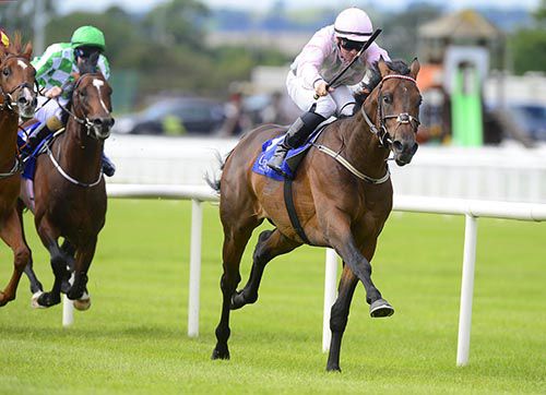Shepherd's Purse goes clear in the Curragh