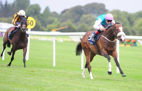 Tested and Pat Smullen run out comfortable winners
