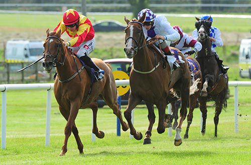 Gold Focus, right, comes to collar Annagh Haven