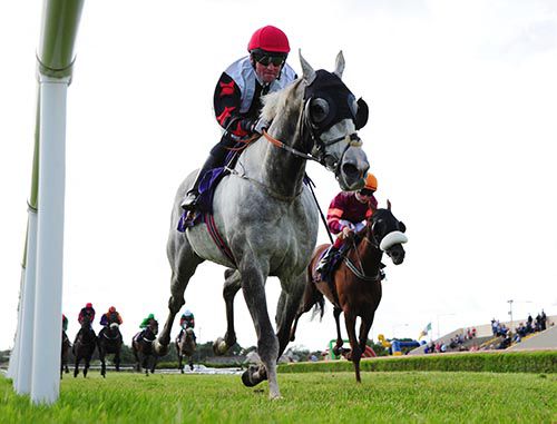 Magnetic Force bounces back to form in Wexford