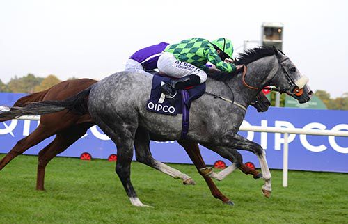 The Grey Gatsby beating Australia (partly hidden) in the 2014 Irish Champion Stakes