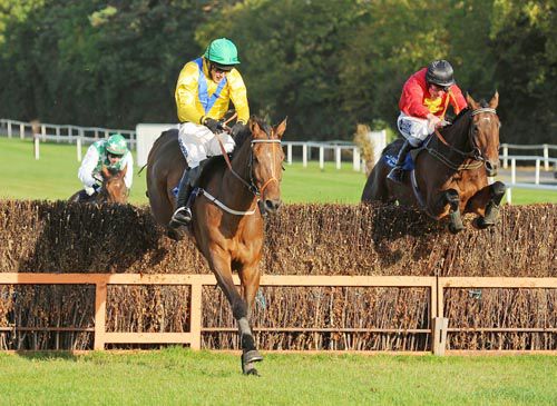 Old Supporter and Brian Hayes lead Massinis Adventure and Phillip Enright over the last