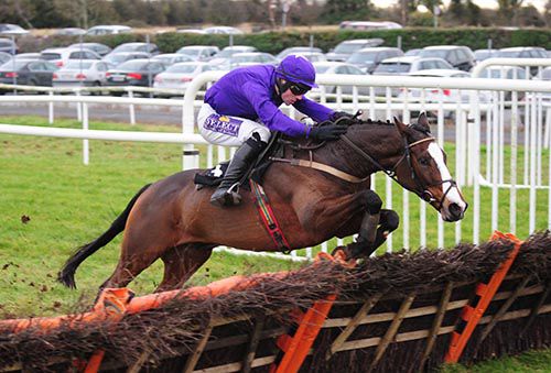 Kauto Grand Mogol was impressive under Brian O'Connell at Thurles