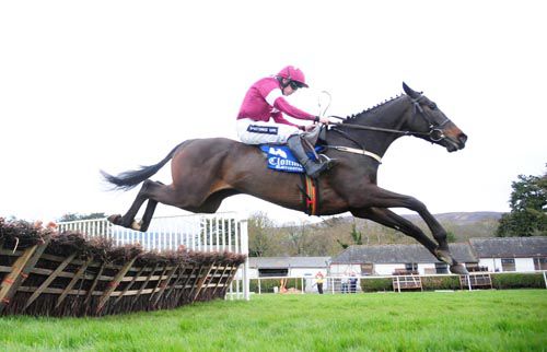 Nickname Exit and Ruby Walsh 