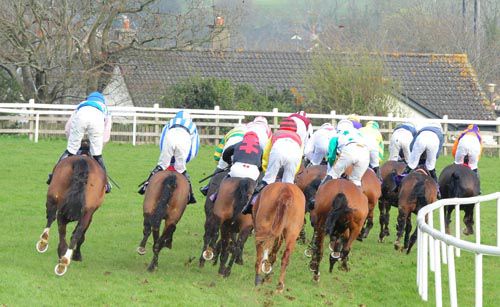 Eventual winner Eight Till Late (Andrew McNamara, red, yellow sleeves) races towards the back here