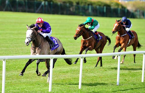 Success Days and Shane Foley lead Zafilani (Pat Smullen) and John F Kennedy (Ryan Moore) home