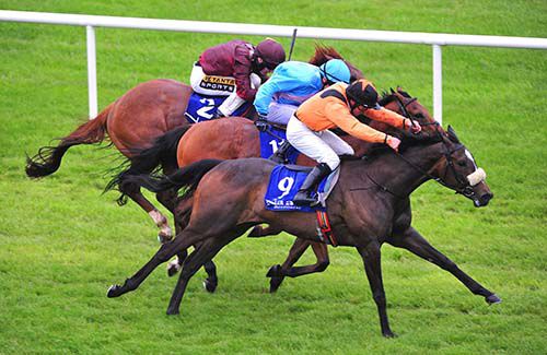 Lily's Rainbow (nearest) is driven out by Wayne Lordan to beat Whip Up A Frenzy (blue) and Sacrificial 