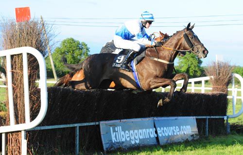Harangue and David Mullins see it out well in Kilbeggan