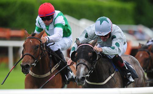 Greyscape and Robbie Burke (right) get the better of Zeb's Fantasy and Niall McCullagh