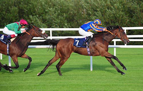 Legatissimo gets into full stride at Leopardstown