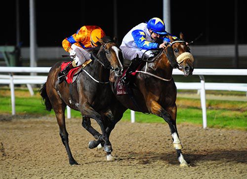 Temasek Star (right) winning at Dundalk when trained by Michael Halford.