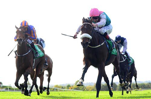 Emergent and Pat Smullen (pink cap)