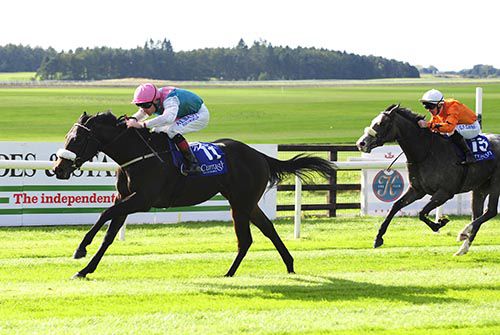 Raymonda and Pat Smullen are on top from Twin Falls