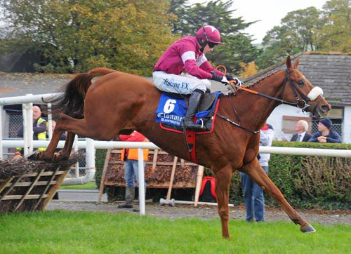 Roman Gold (Bryan Cooper) on the way to victory at Clonmel