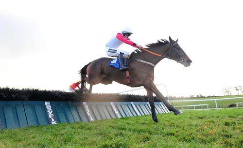 Tongie and Danny Mullins stride on in Limerick