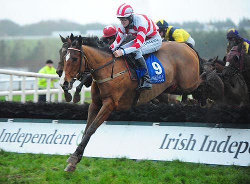 De Glebe Star pictured on his way to victory under Ger Fox