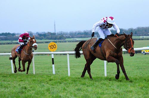 Articulum draws clear from Woods Well in the bumper