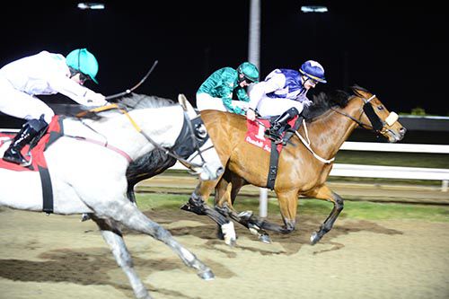 Russian Soul (centre) is ridden out by Shane Foley to beat Yuften (far side) and Togoville