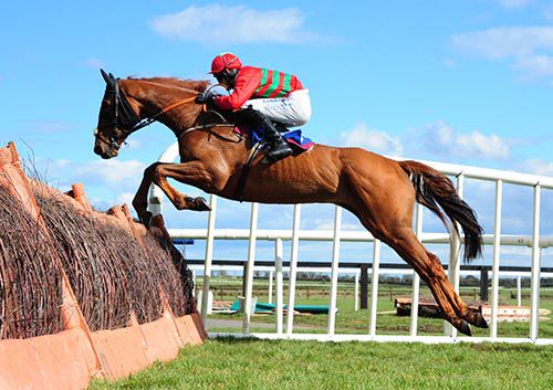 Killaro Boy and Ger Fox in charge at Fairyhouse